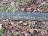 image of grave number 504689